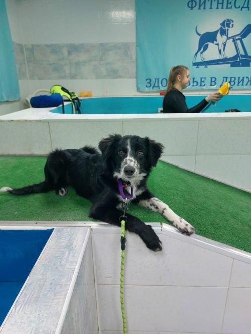 У большого джета случилось маленькое путешествие. 01