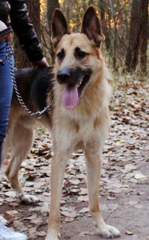 Юлия капитан. Взгляд изнутри. Юлия капитан.