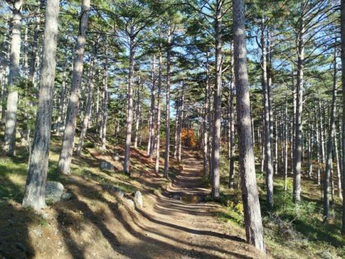 Ущелье УЧ- кош.  Ущелье расположено возле Ялты и является частью горно - лесного заповедника (имейте с собой пропуск на всякий случай. 04