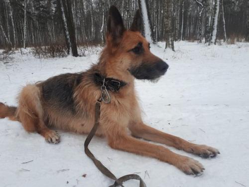 Юлия капитан. Взгляд изнутри. Юлия капитан.