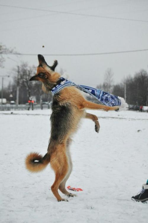 Юлия капитан. Взгляд изнутри. Юлия капитан.