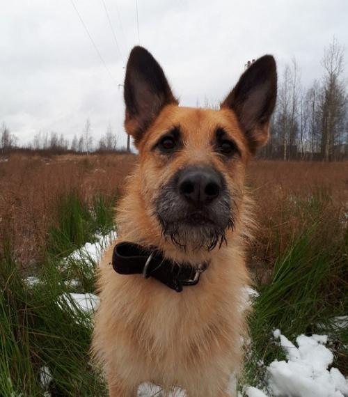 Юлия капитан. Взгляд изнутри. Юлия капитан.