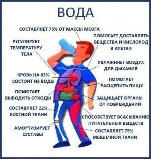 Сколько 2 летний ребенок должен выпивать воды в день