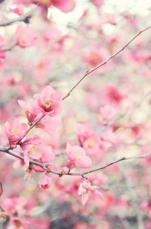 Доброе утро. Вы достойны самого лучшего, поверьте. 05