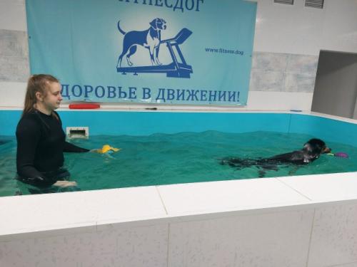 У большого джета случилось маленькое путешествие. 03