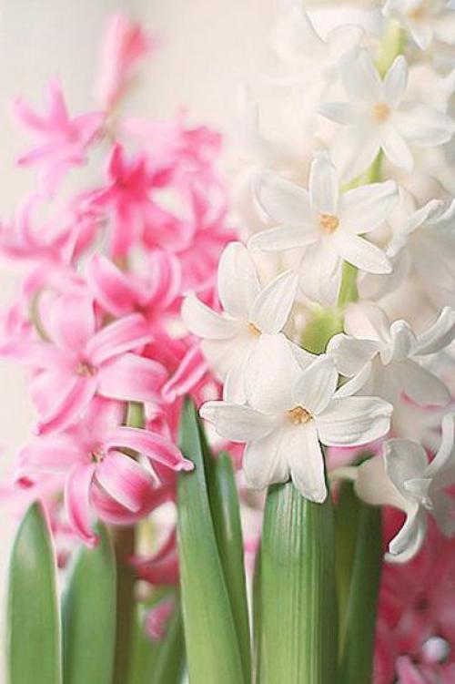 Доброе утро. Вы достойны самого лучшего, поверьте. 01