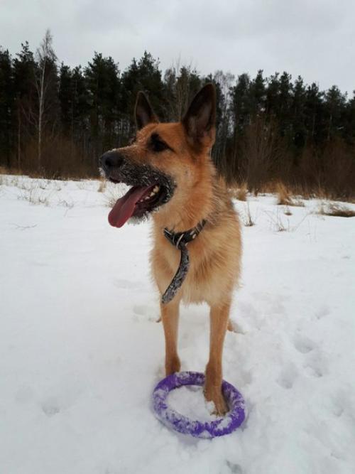 Юлия капитан. Взгляд изнутри. Юлия капитан.