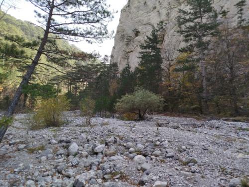 Ущелье УЧ- кош.  Ущелье расположено возле Ялты и является частью горно - лесного заповедника (имейте с собой пропуск на всякий случай. 01