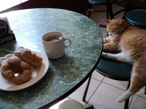 Где в Петербурге дешево позавтракать, пообедать и поужинать. 02