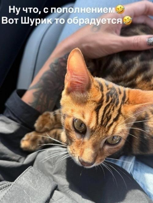 Супруг Насти ивлеевой устроил ей на день рождения трогательный сюрприз. 01