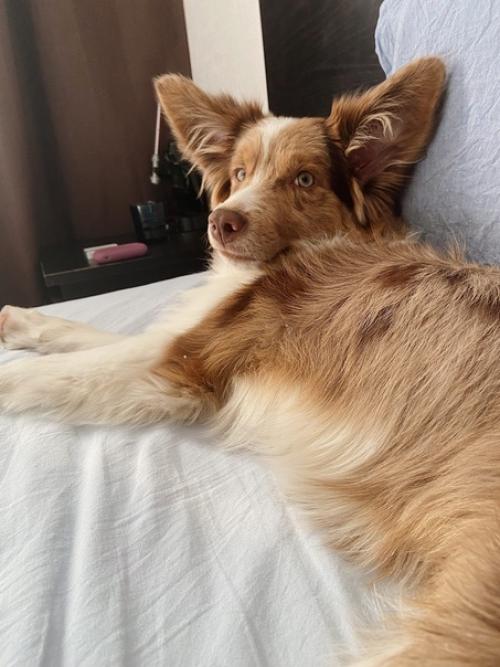 Вчера тренили на улице. 01