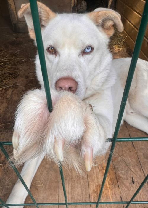 Ваша жизнь скучна и однообразна? 02