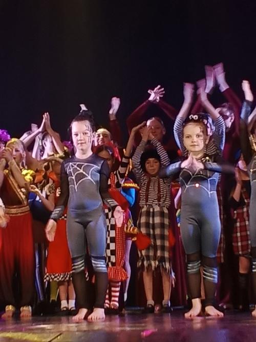 Цирковая студия Маугли создана в апреле 1994 года. 02