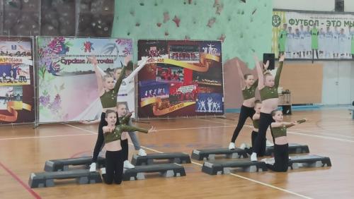 Очередная победа команды Фристайл в г. Пензе на областных соревнованиях по фитнес - аэробике. 03