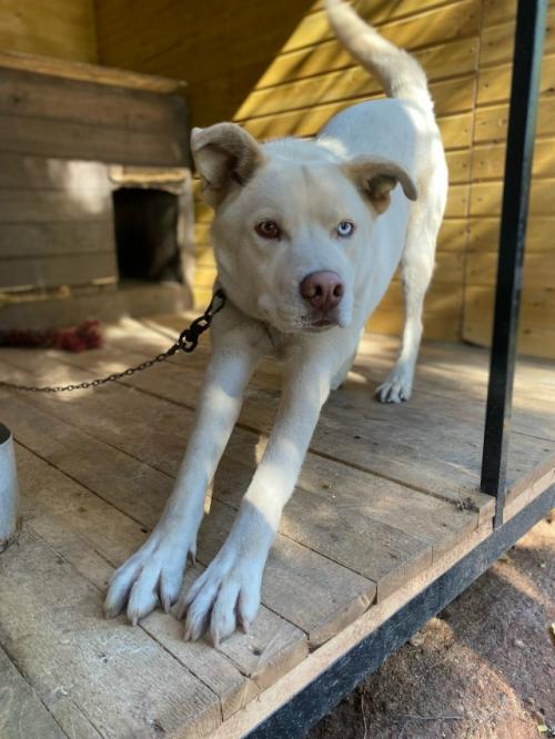 Ваша жизнь скучна и однообразна? 
