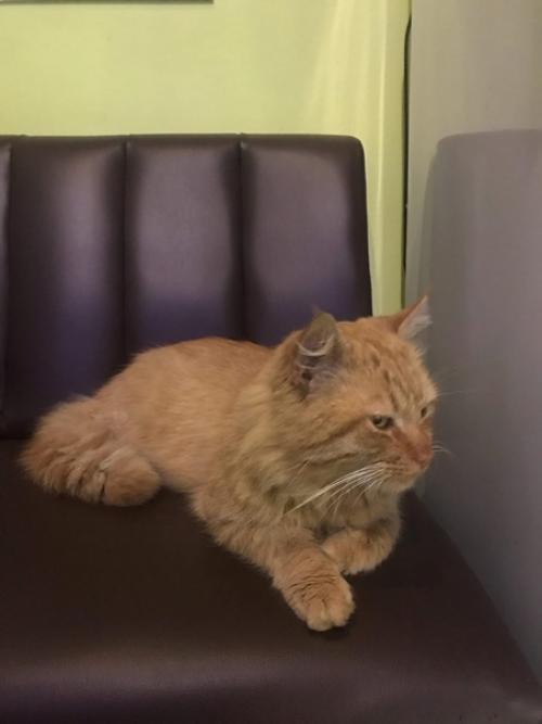 Сочи, район Яна фабрициуса. 01