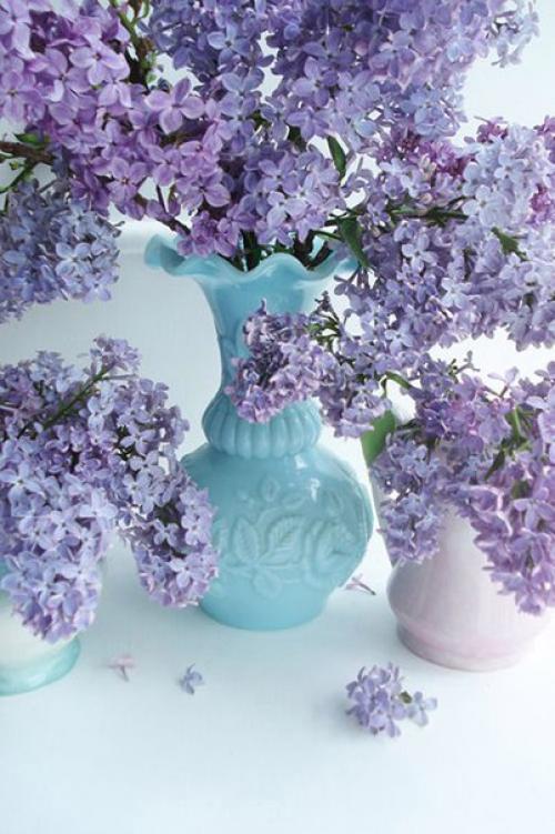 Доброе утро. Когда в дом входит женщина - там становится ясно. 03