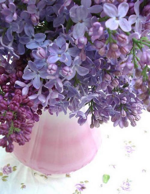 Доброе утро. Когда в дом входит женщина - там становится ясно. 01