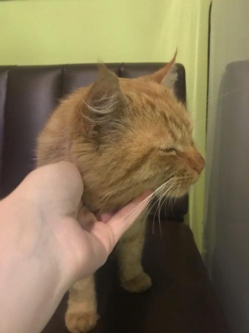 Сочи, район Яна фабрициуса. 02