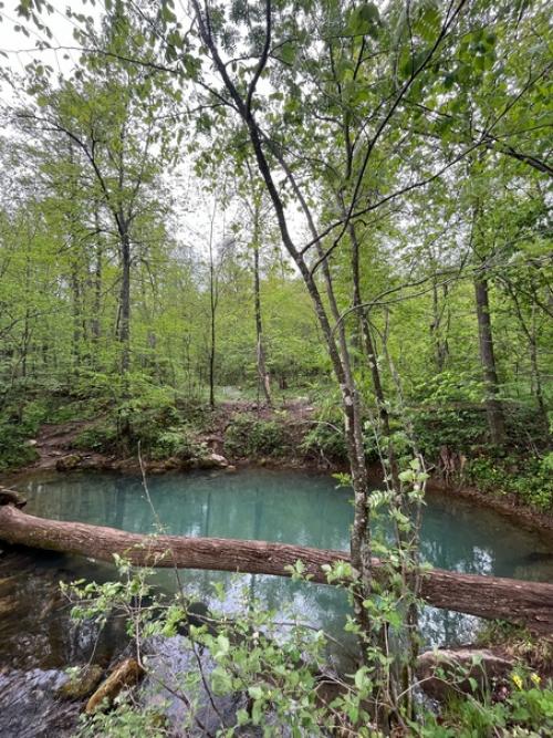 Возить в багажнике своего мексиканца и бархатные чёрные шпильки и резиновые сапоги, а вдруг, он самый! 05
