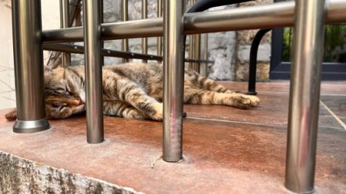 Фитнес тур Турция май 2024 завершен! 04