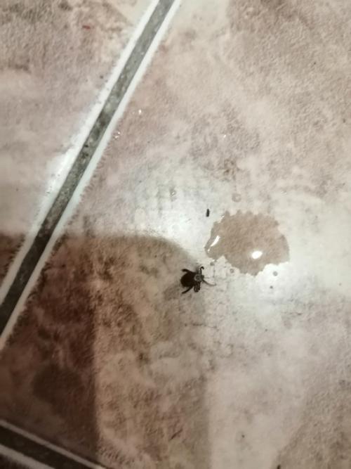 Иногда идея просто попить кофе в центре оборачивается невероятными приключениями. 03