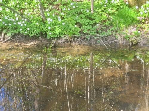 Успеть на майские. 02