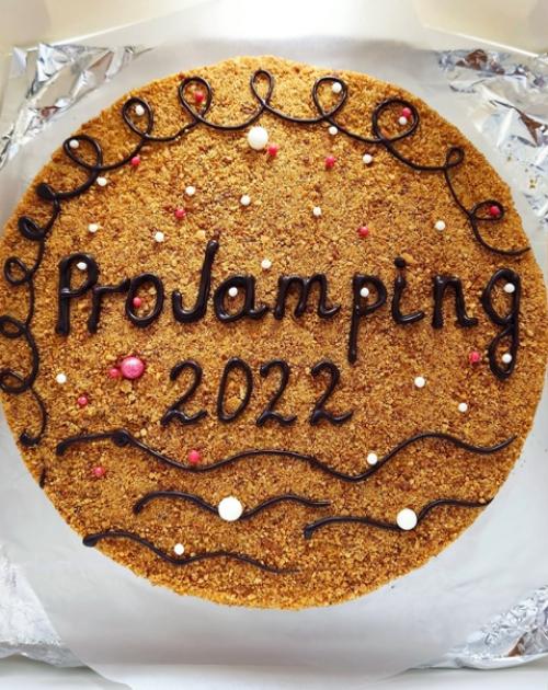 Мы обажаем заниматься на фитнес батутах Projumping (проджампинг). 04