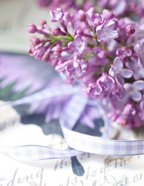 Доброе утро. Когда в дом входит женщина - там становится ясно. 04