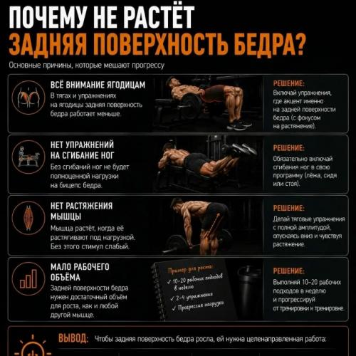 Большинство тренируют ягодицы. 05