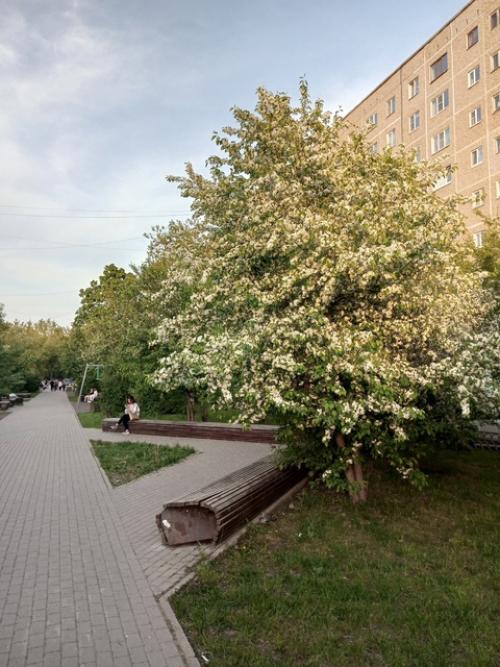 Последняя неделя мая - как фильм, где каждый день был новой сценой, наполненной смыслом, светом и эмоциями. 02