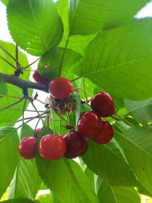 Нет ничего хуже, чем в летние выходные остаться в Краснодаре. 01