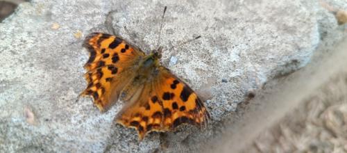 Не всё удалось сделать в этом учебном году, но мы создали проект. 02 Не всё удалось сделать в этом учебном году, но мы создали проект. 02