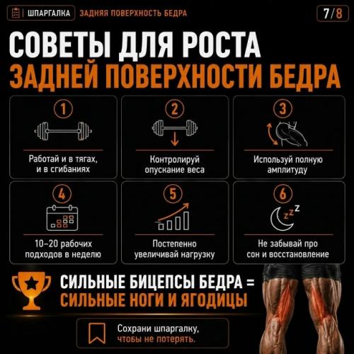 Большинство тренируют ягодицы. 06