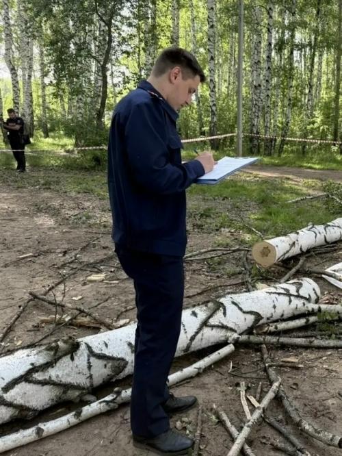 Выпускницу из пермского края насмерть придавило деревом во время шторма на последнем звонке. 01