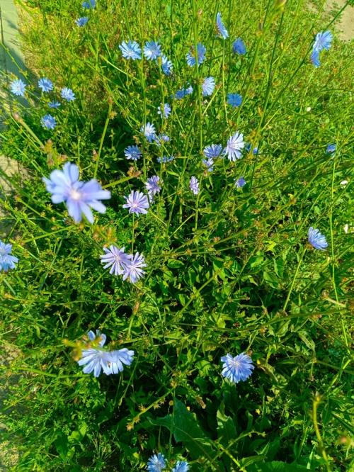 Не всё удалось сделать в этом учебном году, но мы создали проект. 03 Не всё удалось сделать в этом учебном году, но мы создали проект. 03