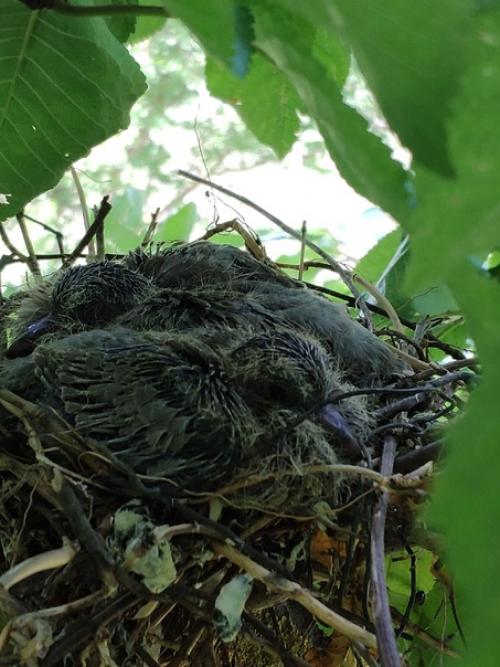 Нет ничего хуже, чем в летние выходные остаться в Краснодаре. 02