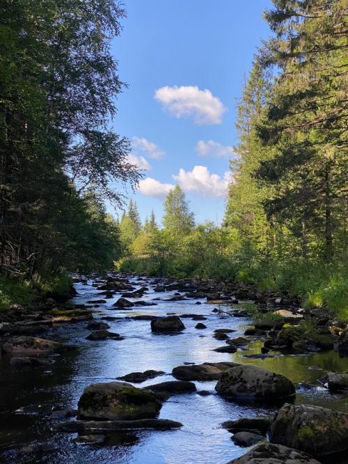 Уйти в поход на неделю и вернуться другим человеком! 07 Уйти в поход на неделю и вернуться другим человеком! 07