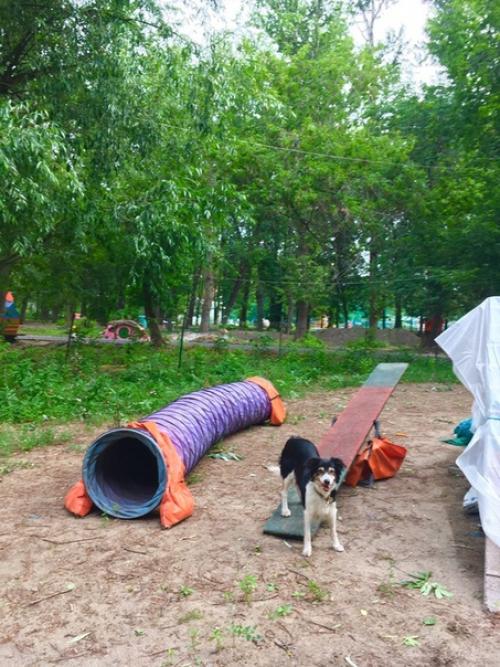 Вчера бегали адж. 01 Вчера бегали адж. 01