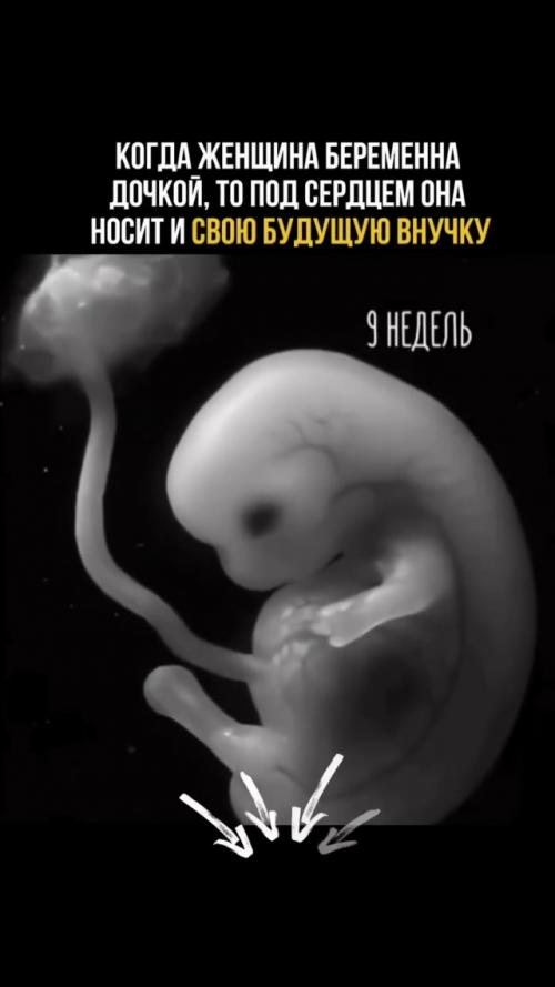 Один из самых впечатляющих фактов эмбриологии касается внутриутробного развития девочки. 02