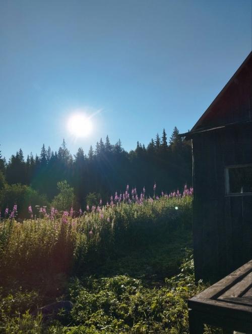 Уйти в поход на неделю и вернуться другим человеком! 08 Уйти в поход на неделю и вернуться другим человеком! 08