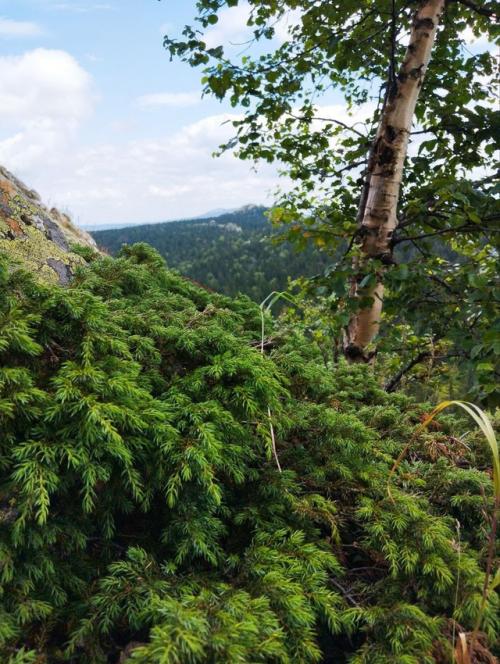 Уйти в поход на неделю и вернуться другим человеком! 06 Уйти в поход на неделю и вернуться другим человеком! 06