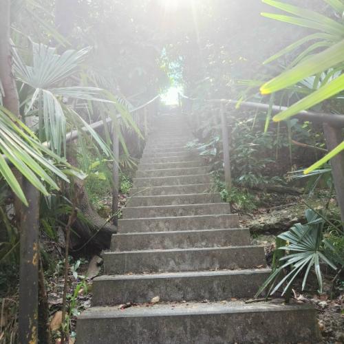 Чем меньше мы двигаемся - тем больше мы хотим есть. 02 Чем меньше мы двигаемся - тем больше мы хотим есть. 02