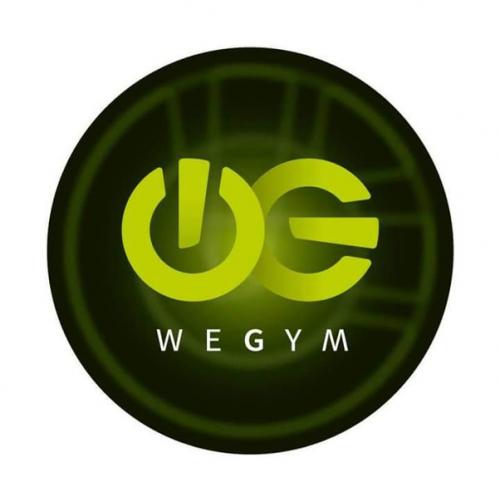 We gym. Фитнес we Gym. WEGYM фитнес логотип. WG фитнес клуб. We Gym Перово.