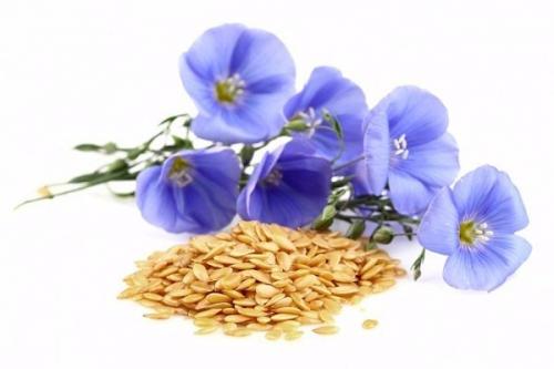 Продукты для похудения. 08