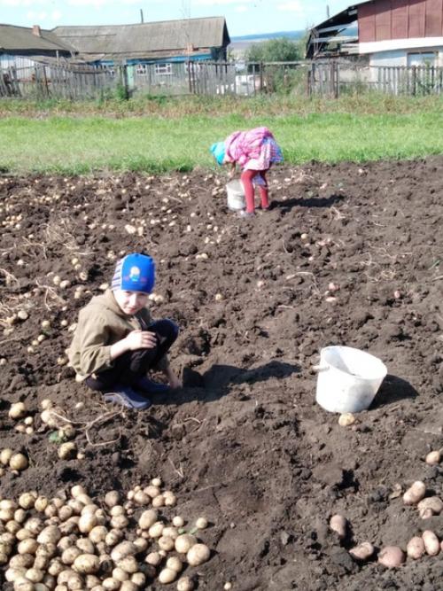 Еду к маме я в деревню, в поезд прыгаю с утра, отдохну там и окрепну, от природы той ослепну …. 02