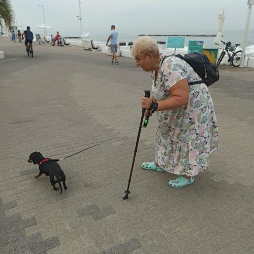 Чем меньше мы двигаемся - тем больше мы хотим есть. 04 Чем меньше мы двигаемся - тем больше мы хотим есть. 04