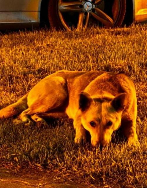 Эпизод 434. Он возвращения ждет. 01 Эпизод 434. Он возвращения ждет. 01