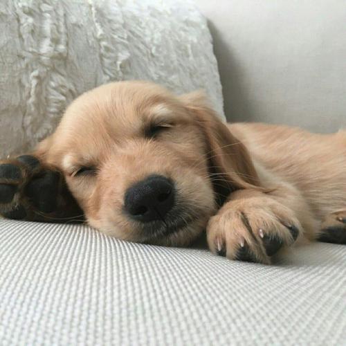 Эффективные способы от стресса избавиться? 01