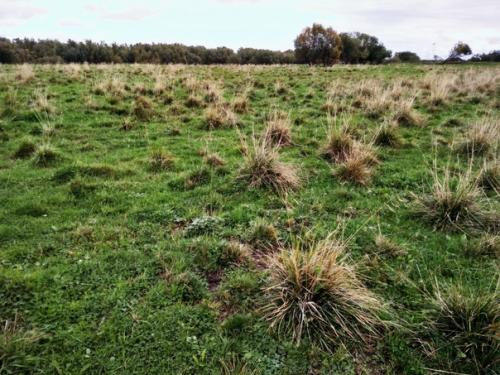 Отличная велосоточка до бункеров в Катунино. 04